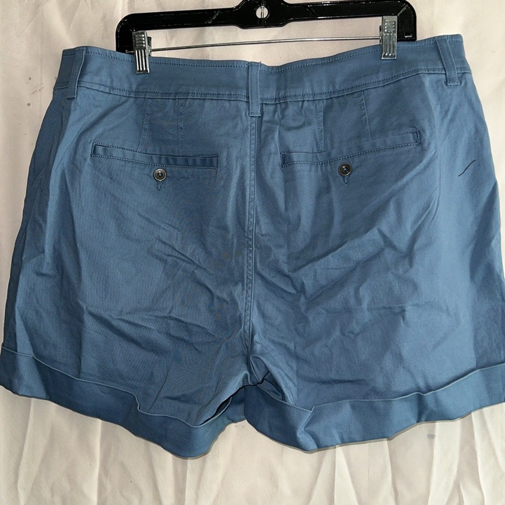 NEW Market & Spruce Light Blue Cargo Shorts 18w